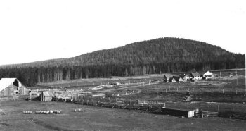 Bridge Creek Ranch outbuildings, 1930s.